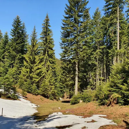 Zlatar Luxury - Trace Of Nature 2214 Chalet