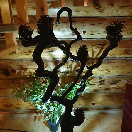 Zlatar Luxury - Trace Of Nature 2214 Chalet *