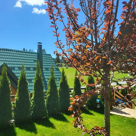 Шале Zlatar Luxury - Trace Of Nature 2214 Нова-Варош